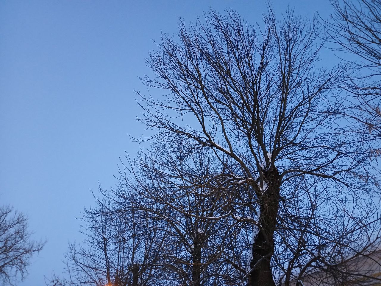 В Калужской области февраль начнётся с лютых морозов