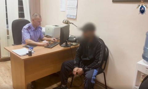 Иностранные семьи покинули Россию после расследования дела о нападении на ребенка в Калужской области