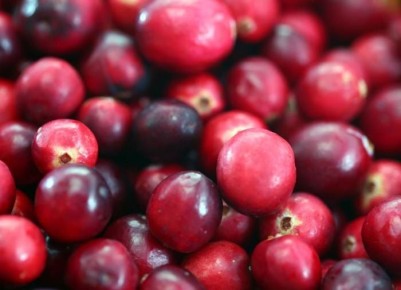 ����������� ����� � ������, ������� ����� �������