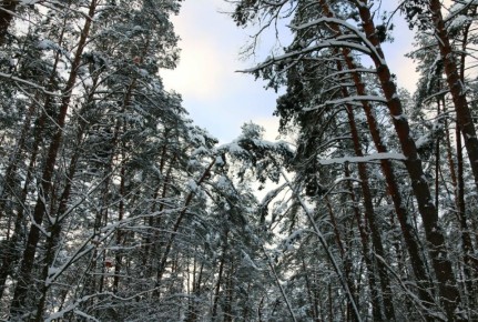 ������ � ��������� ������� ��������