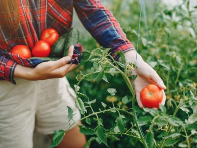 ��� ��������� ������� ������: �������� ������ ��� ������ �������