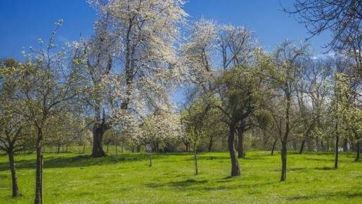 ��� �������� ��� �� ����������: ������ �� ��������� ��������