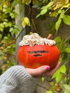 ������ ����� �����: ����� ������ � ����������� ����