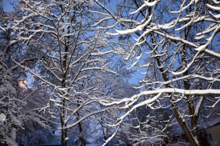 ����������� ������� ������ � ������ ����������