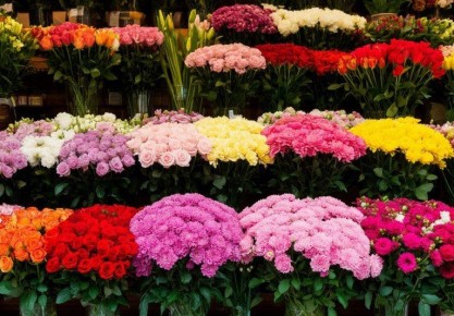 ��������� ������� ��������� �� ����� 12 ��������� ������