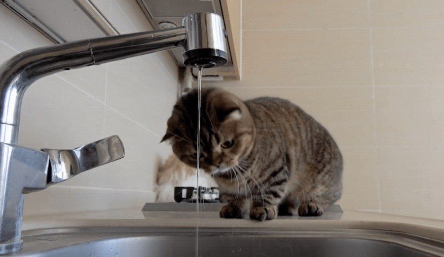 ������ ������ ������������ �� �������� � ����� �� �����, ���������� ������������� ������� �� ���������������