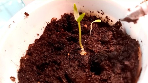 ������ � ����������� �������: ����������� � �������� �����