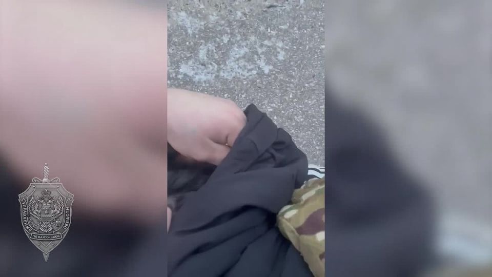 ��������� ������� �����, ����������� ������ � �� ��, �������� � ���������������� �����������