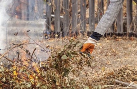 ������ ������� ���������� ������ ���� ����� ��� ������ ������