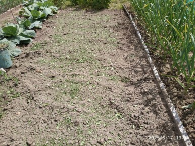 ��� ����������� ������ ��� ������������� ��������� � ������� �� ����� ����