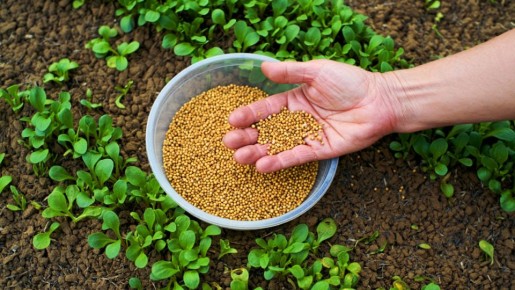 ������ ��� �������� ������������� �������: � ��� ������ �� ����?