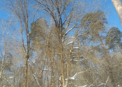 � ��������� ������� � ������� �������� ���������� � ������ ����