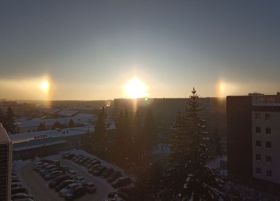 � ������ �� ���� ��������� ���� ��������� ��������� ����