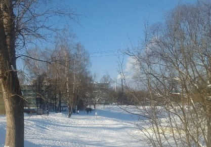 Февральские морозы в Калужской области оказались далеки от рекордов