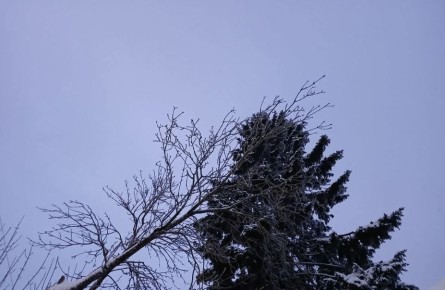 ����������� ���� ��� ����������� ������� ��������� �������