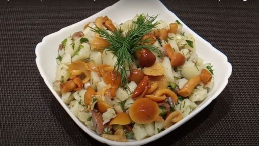 ���� ����� ���������� ���������� ������� ���� ��� ��� ���������: ����� ������ ������