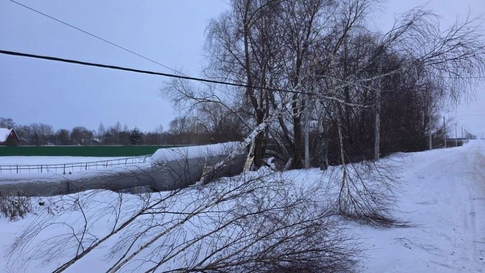 � ��������� ������� ������� ������������ �����