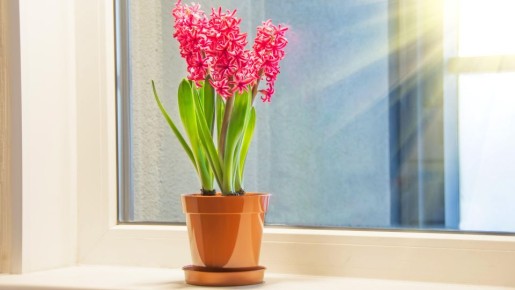 �������� ������� ����� ������ ��� �������: ������ ������ ���������