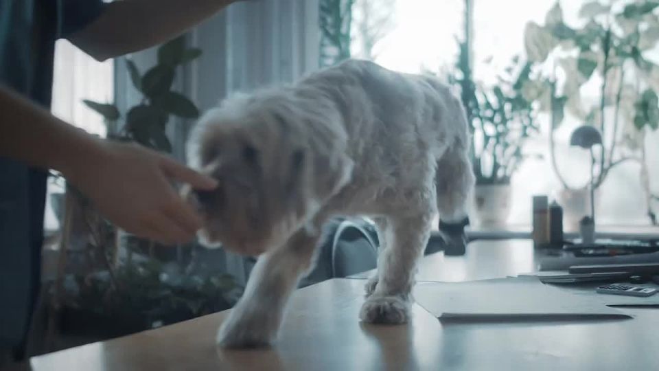 8 ������� � ���� ���������� �����