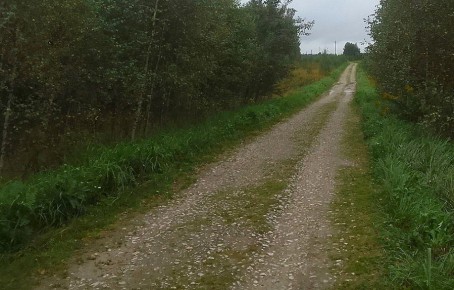 ����������� ��������� ������������� ����� �� ������ ������ � ��������� �������