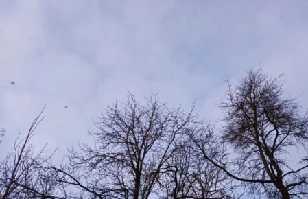 ��� ��������� �������� �� ���� ��� ����������� ��� ������������