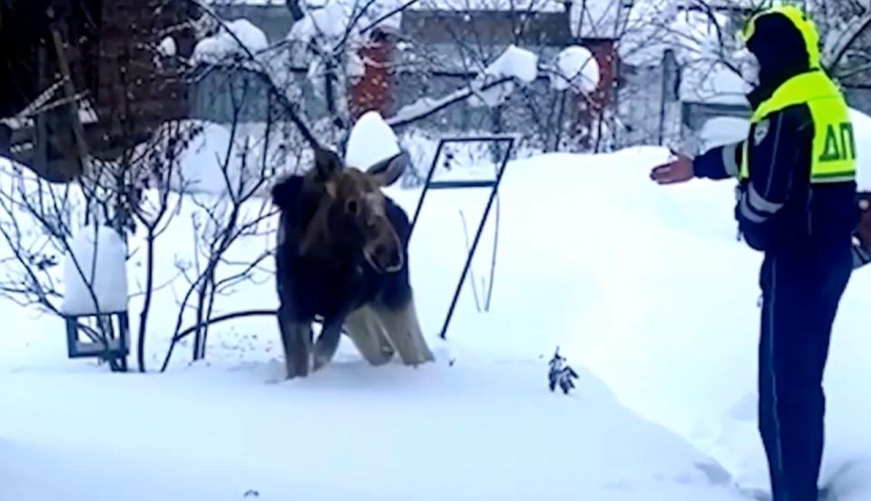 ���������� ��� ������ ������� � ���������