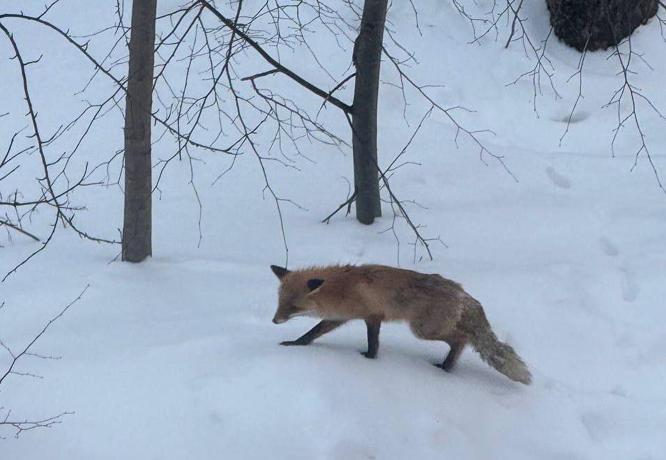 ���� ����� � ����� ����� �� ���������� � ������