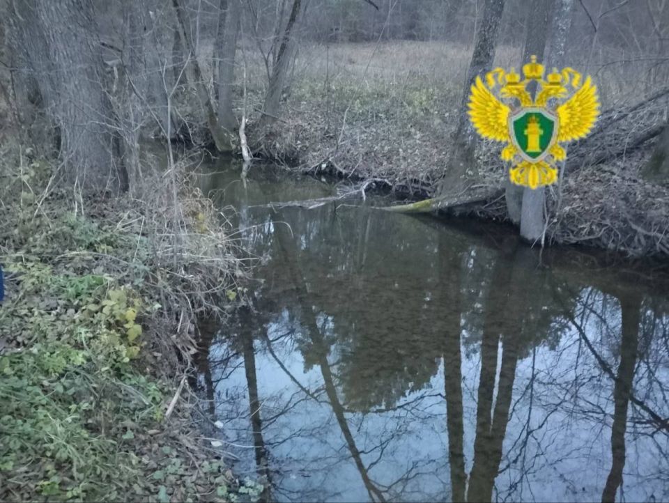 ���� �������� ������� � �����