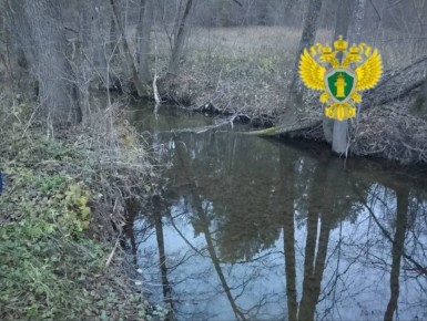 ���� �������� ������� � �����