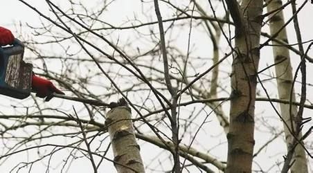 Уважаемые калужане и гости города!