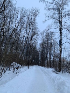 ������� ������������ ��������� ������ � ����������