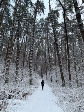 ������� ������������ ������� ������ � ����������