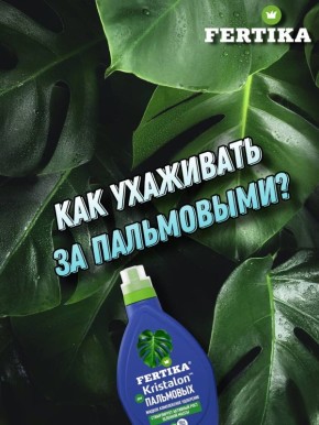 ��� ��������� �� ����������