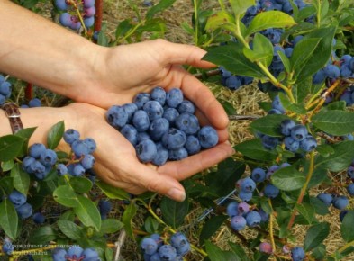 ��� ��������� ��������: ������� �������� ��� �������� ������