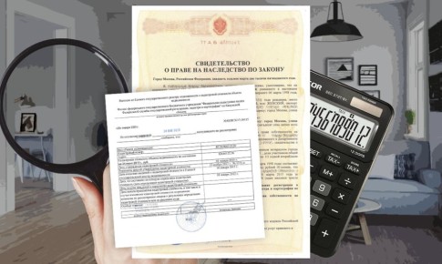 �������� ����������: ��� �������� ���������� ������ � 2026 ����