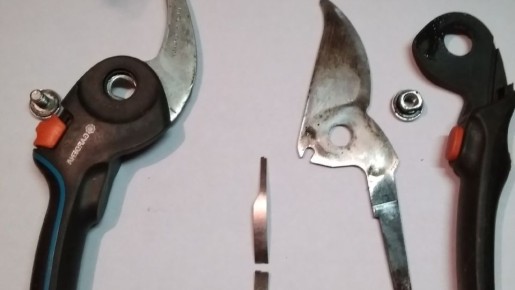 ��� ��������� �������� ������ ���������: ����������� ���������� ������������