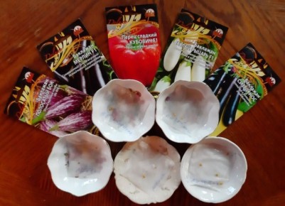 ����� ����� ������ ������� � ������� 2026: �������� ������