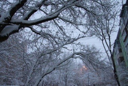 ��������� ������������ � ��������� ������� ����� � ��������