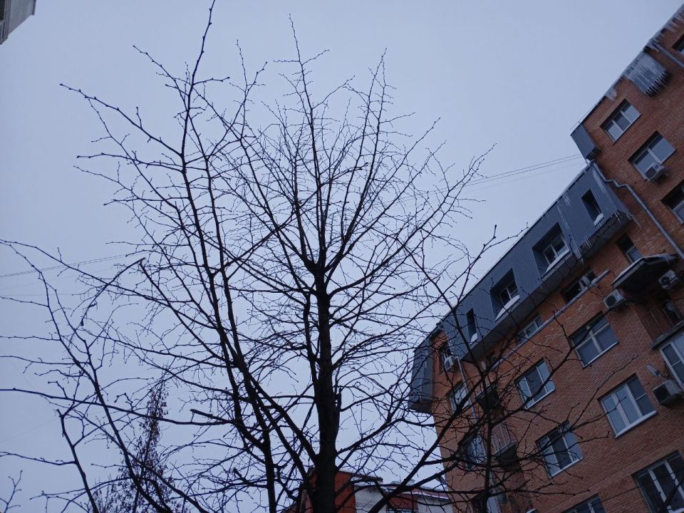 �������� ������ ���������� ������ ����� ������ �������