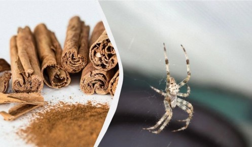 ��� ����� ������ ����� ������ ���������� �� ������ � ����� ����