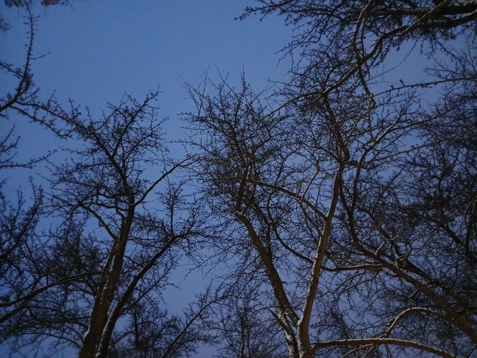 �� ���� ��� ��������� �������� ����� 14 �������������