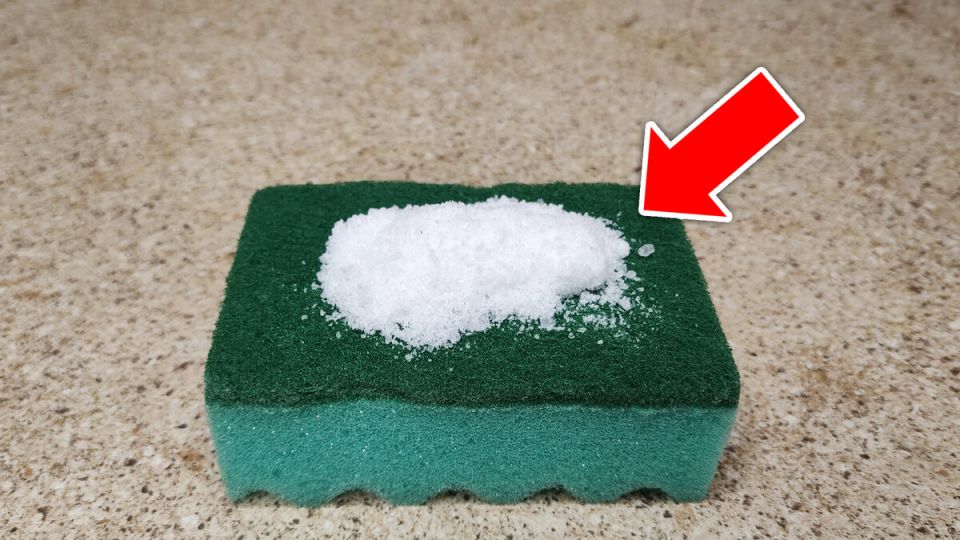 ������� ��������� ���������: ��� ���� � ����� ����� ����������� ��� ���