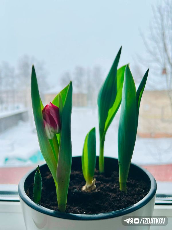 ������� ���:. ��� �������� ��� ���������� �� �������� ������ � ������ � ������������ ������ ����������� ��������� ���� ����� ��� ��� ������������ ������������� � ������ ��������� ���������� �������, ��� ��� �� ���������...