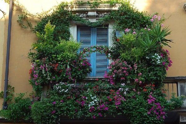 ����� �� �������: ������� ������������