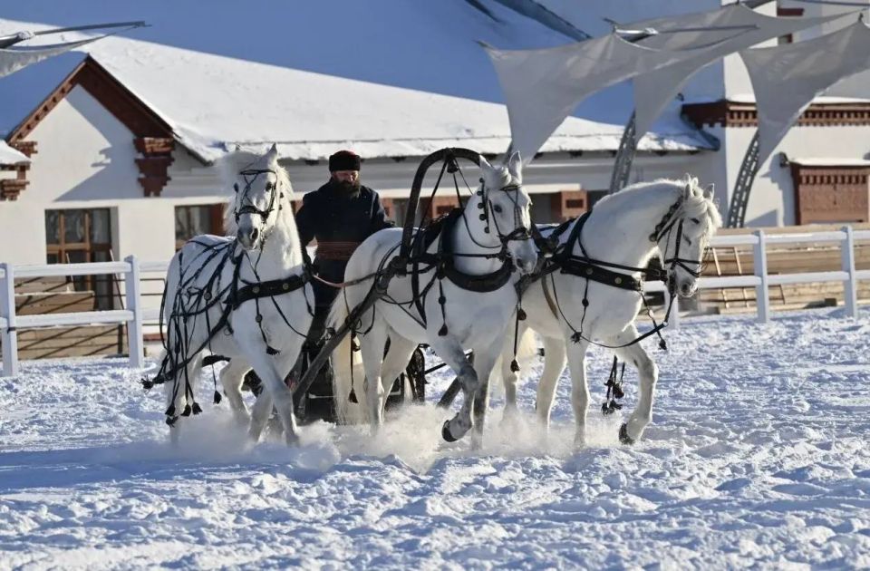 ������� ������ ���������� �������� ������������ ����� ������