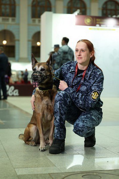 Хип-Хоп Рапира из Калуги блеснула мастерством на выставке «Лучшие собаки России» Хип-Хоп Рапира из Калуги блеснула мастерством на выставке «Лучшие собаки России»