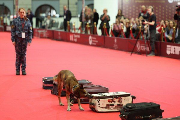 ���-��� ������ �������� �������� ����������� ���������� ������� ������ ������