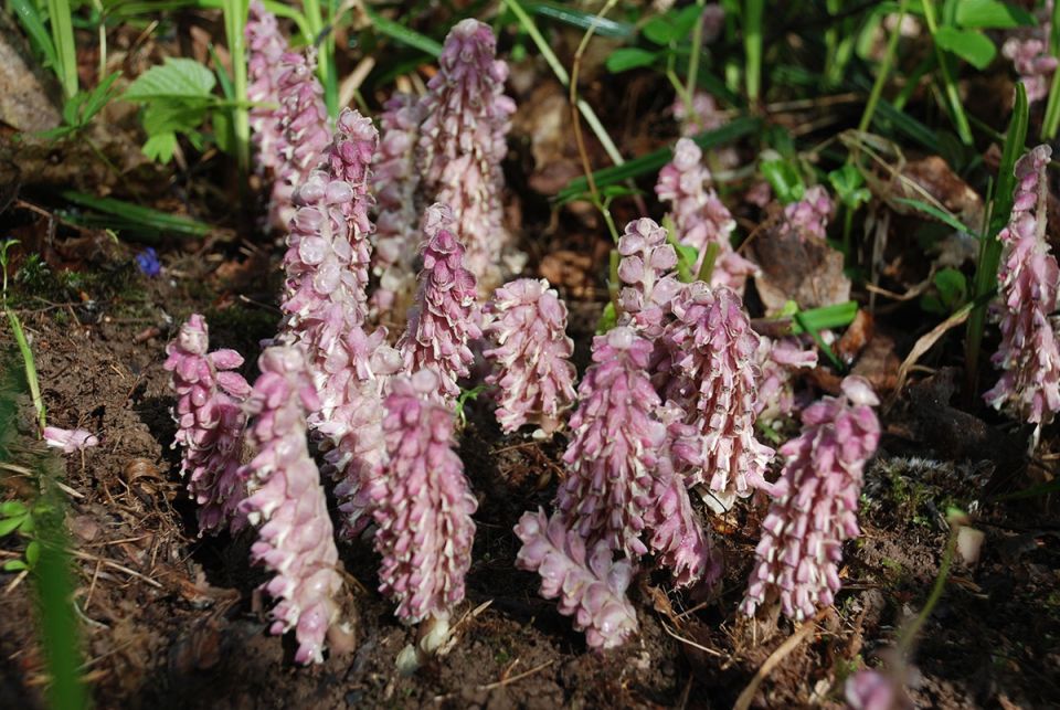 ������ �����: ������� �������, � ������� �� �� �����