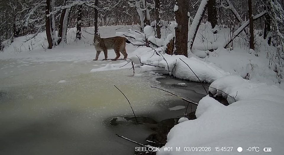 ���� ������ �� ����� � ��������� ����