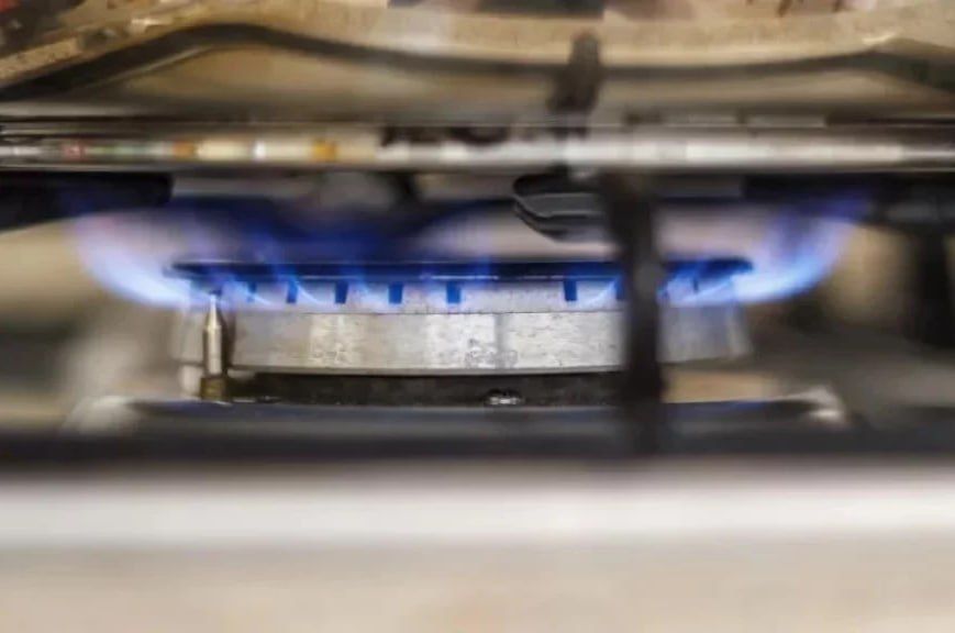 ��������� ���������� ������� 54,6 �������� ������ �� ������� ������������